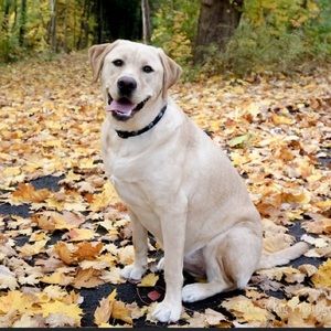 Meet your Posher, Sherry